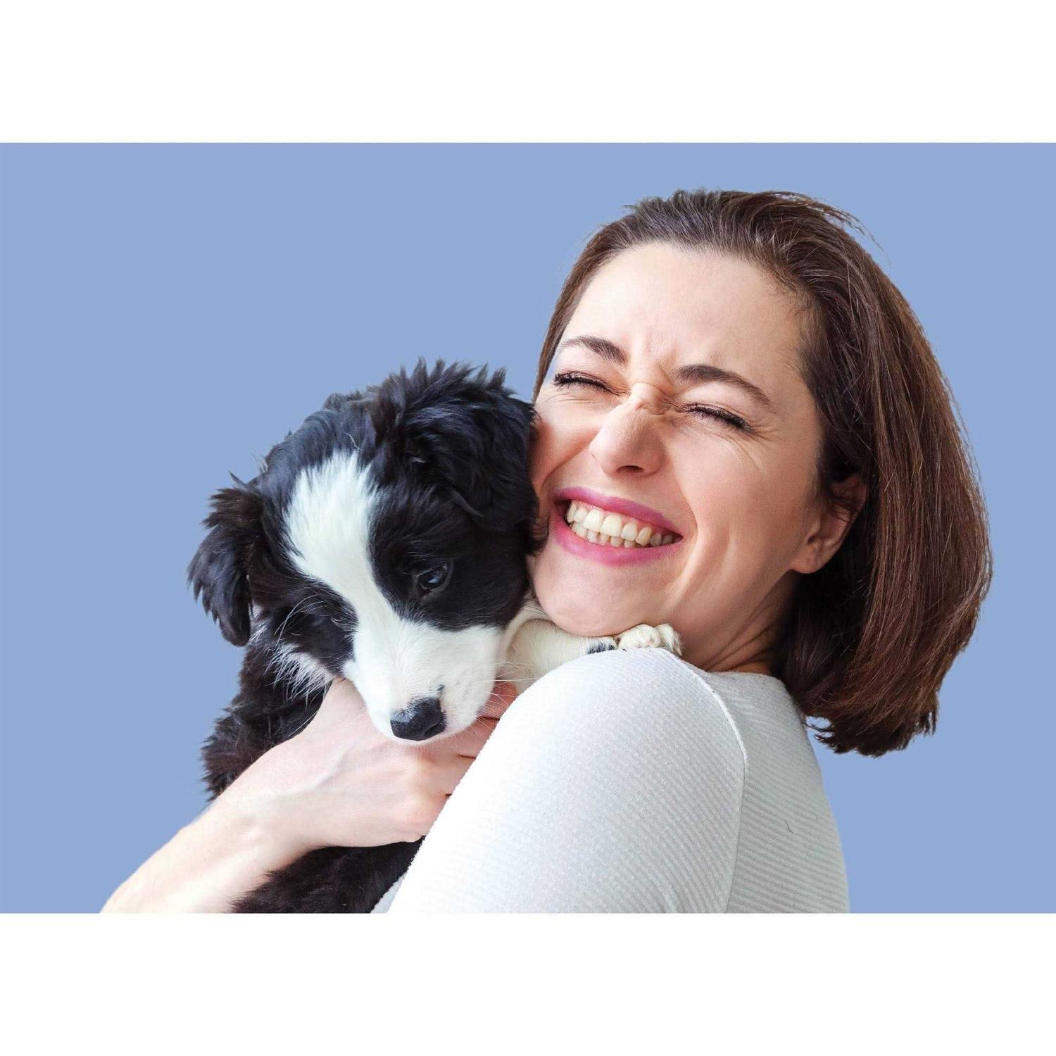 CapAction Fast Acting Flea Treatment for Small Dogs - Healthber