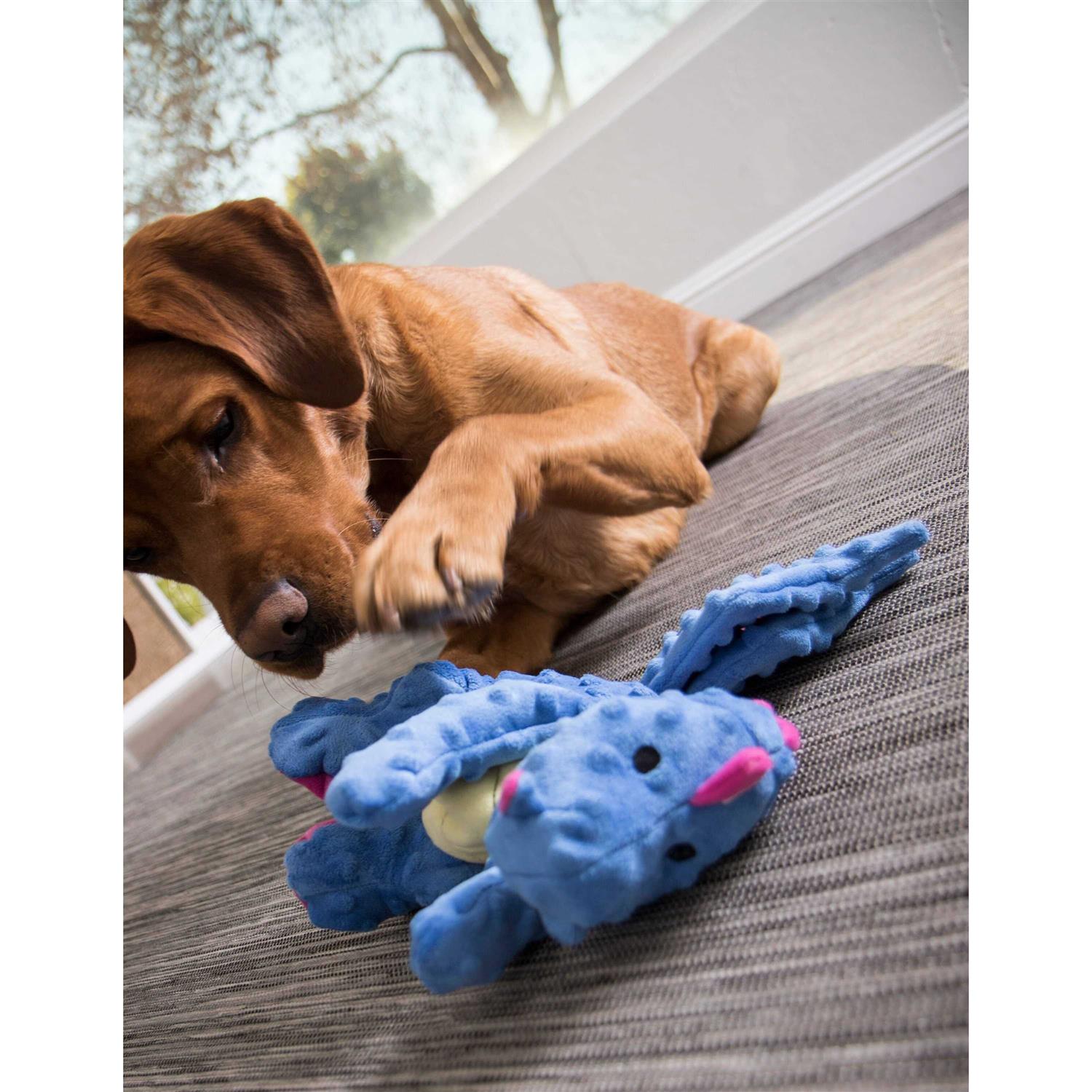 goDog Chew Guard Dog Toy - Healthber