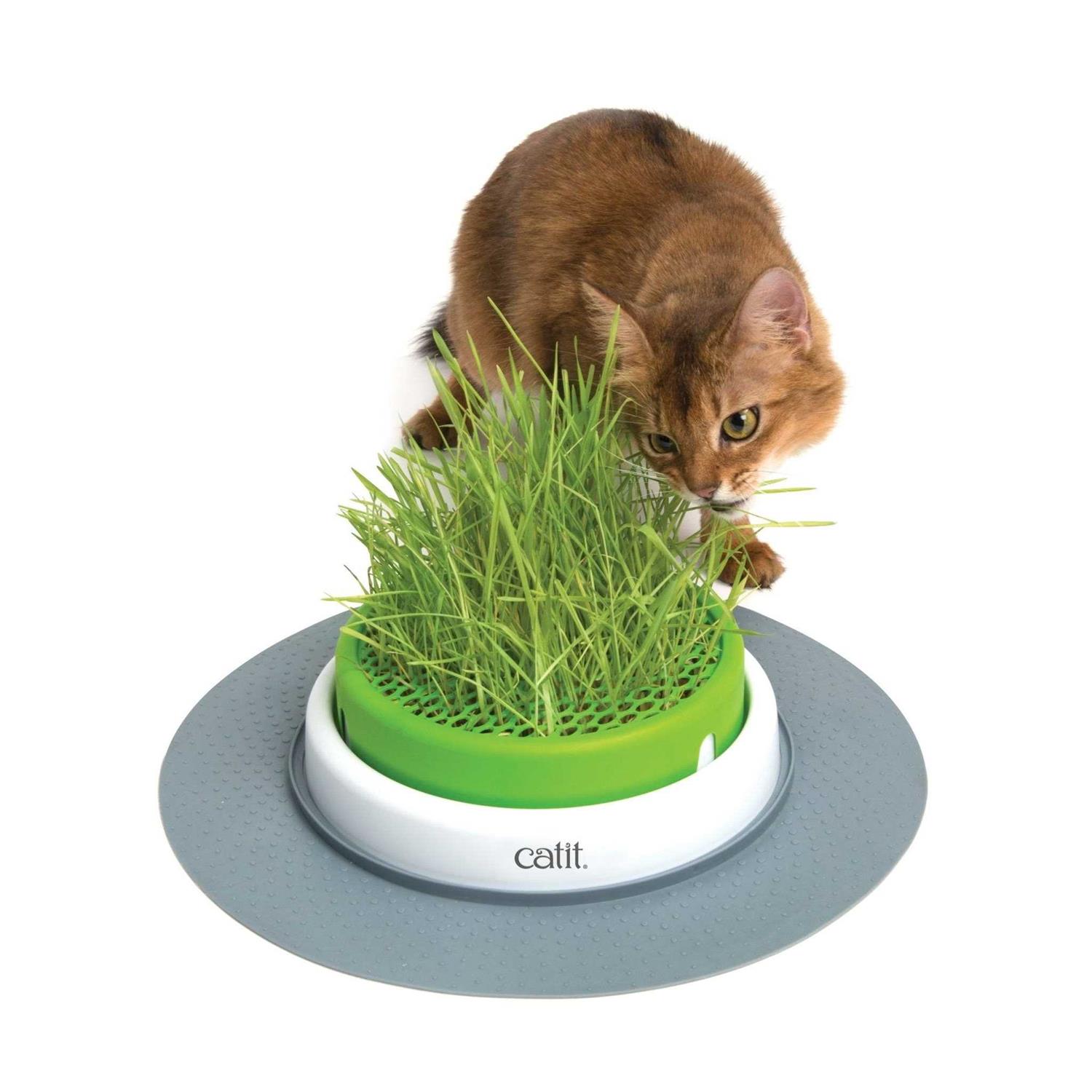 Catit Senses 2.0 Grass Planter - Healthber