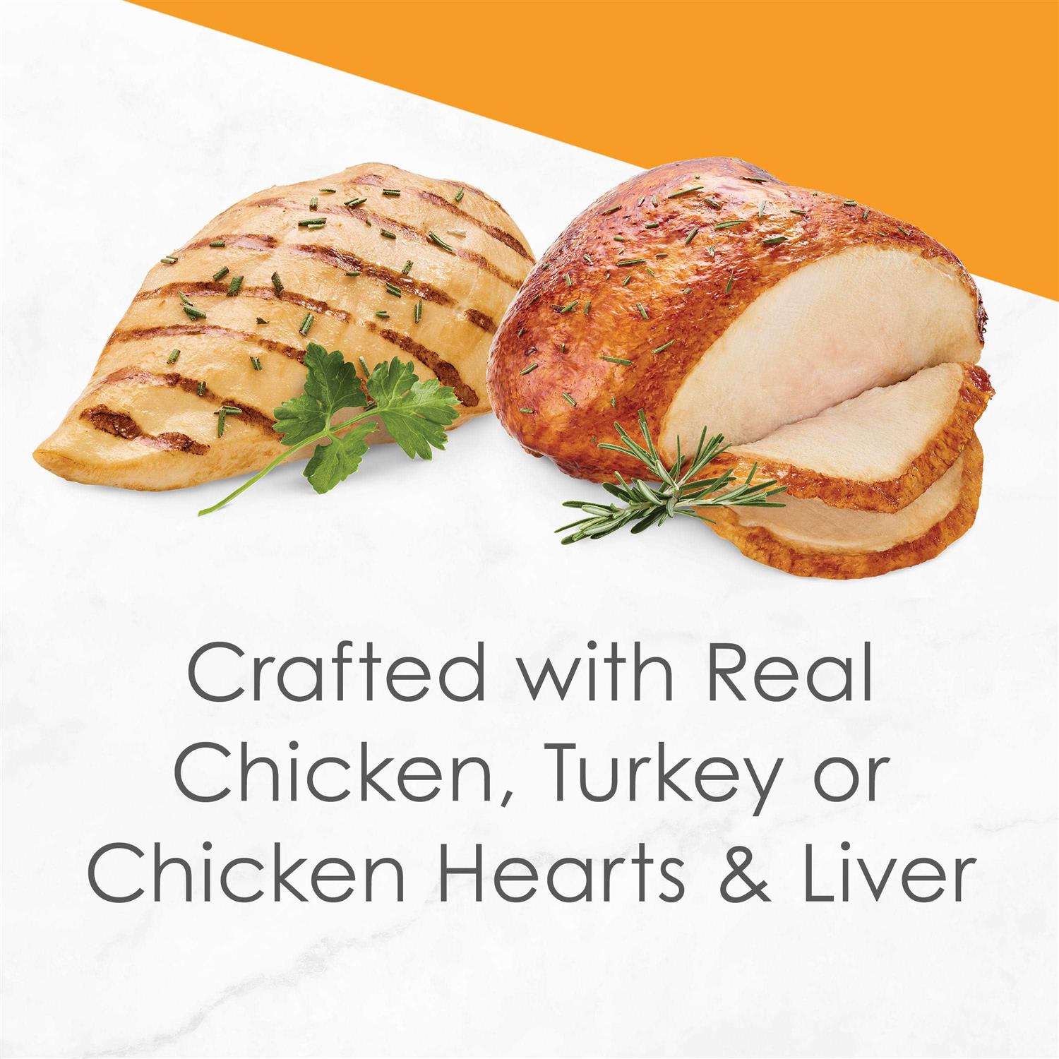 Purina Fancy Feast Gravy Wet Cat Food Variety Pack Poultry Lovers Sliced Collection - Healthber