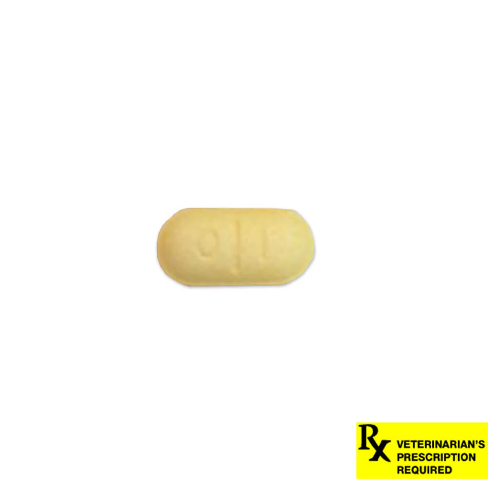 Rx Thyro-Tabs (levothyroxine sodium tablets) Tablets for Dogs - Healthber