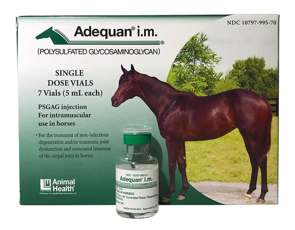 Rx Adequan Equine (polysulfated glycosaminoglycan) 500mg/5ml Injectable for Horses - Healthber