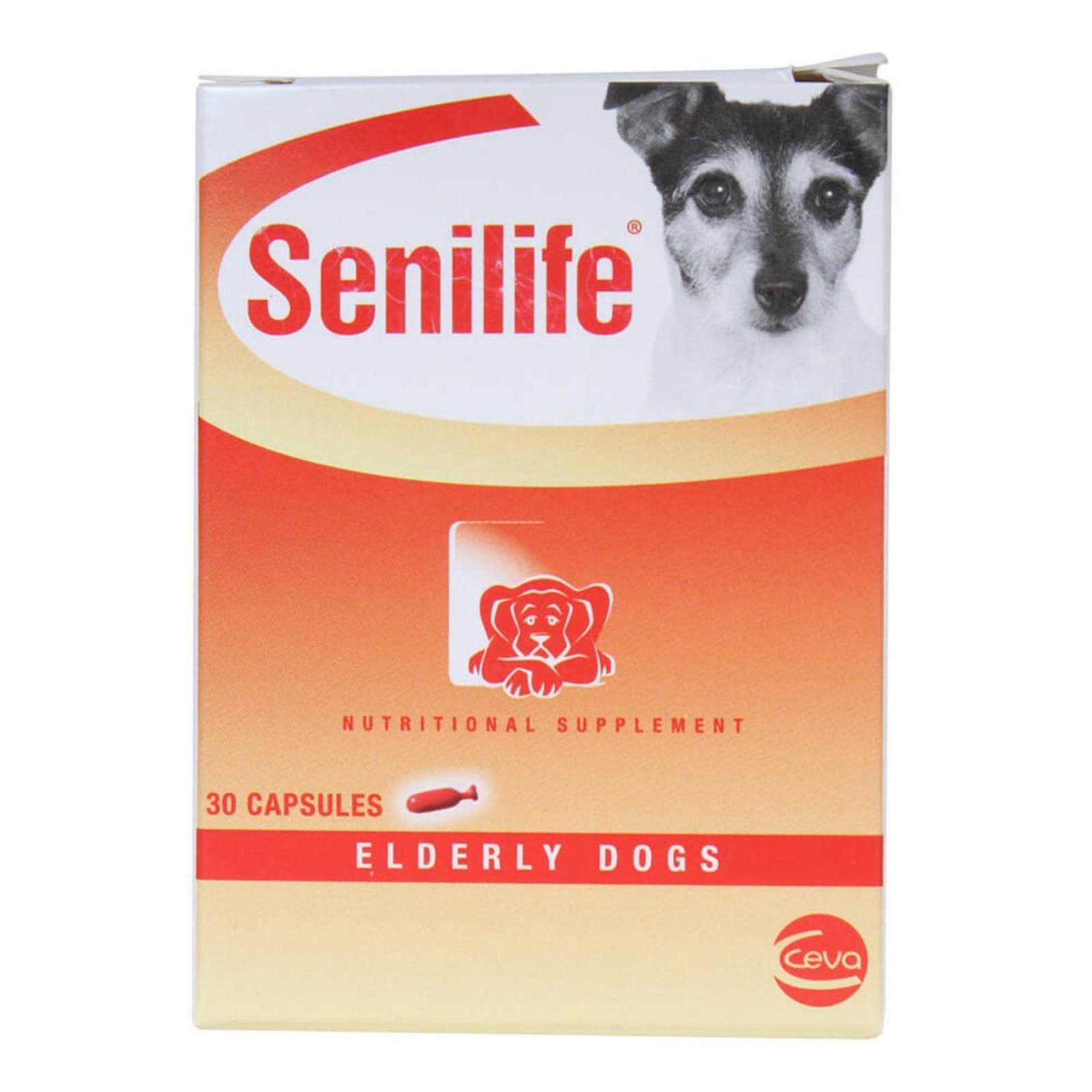 Ceva Animal Health D59010b Senilife Nutritional Supplement for Elderly Dogs - Healthber