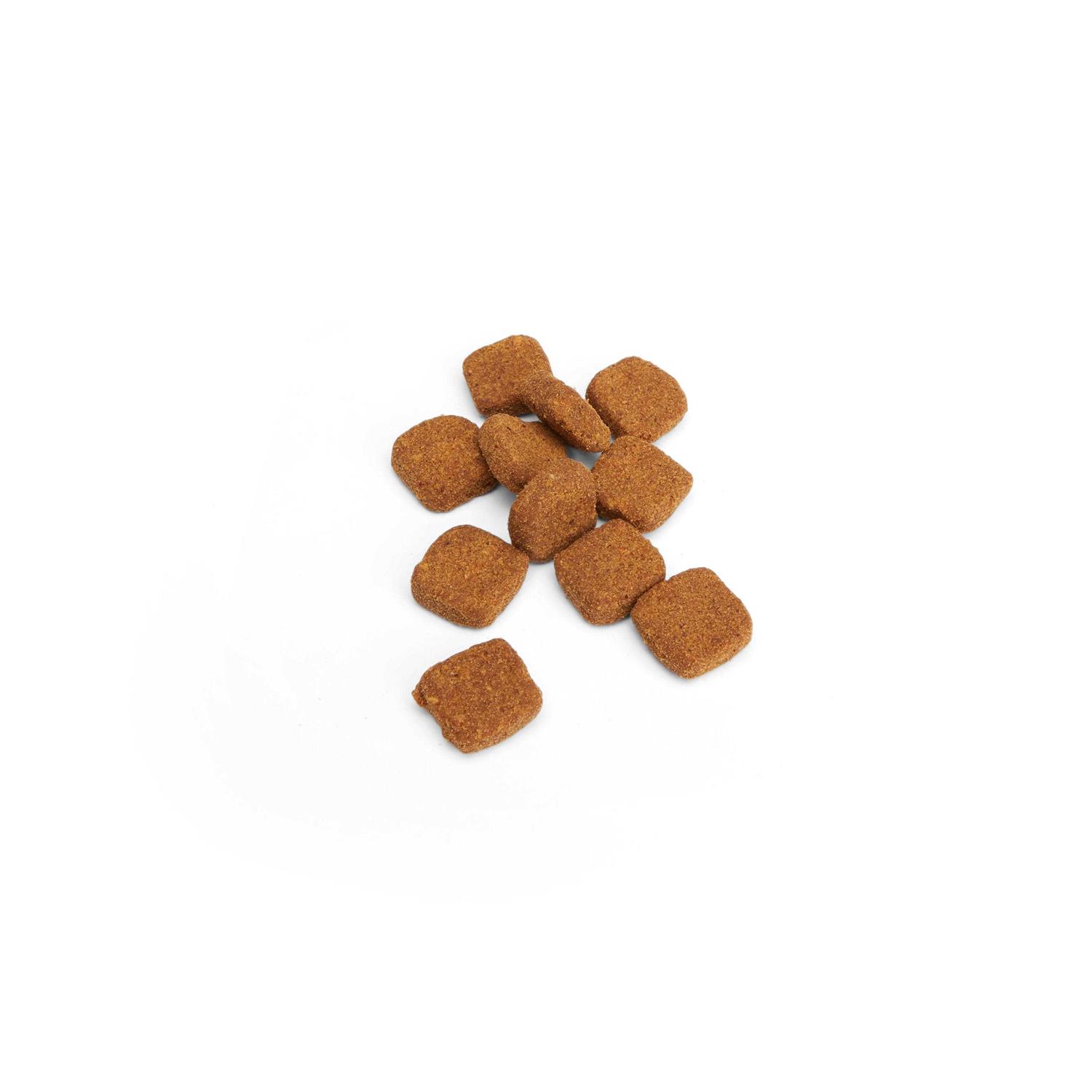 Well & Good Cat Allergy Soft Chews - Healthber