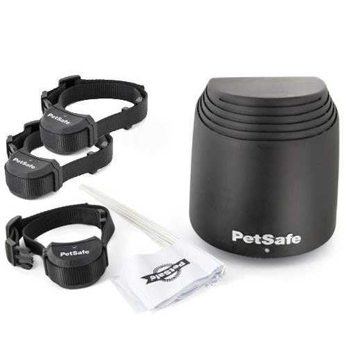 PetSafe Stay Play Wireless Fence - Healthber