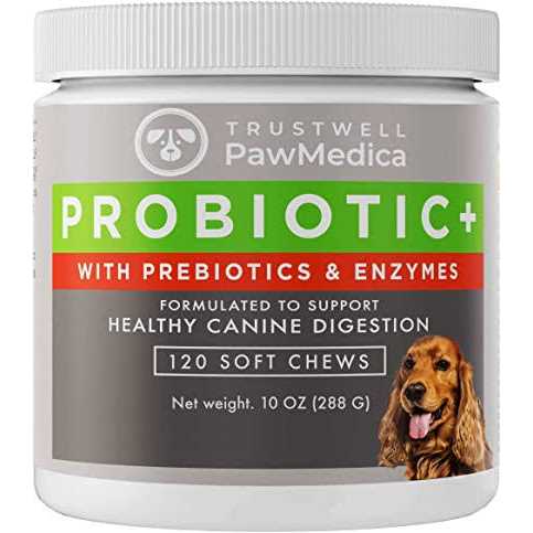 PawMedica Dog Probiotics and Digestive Enzymes - Healthber