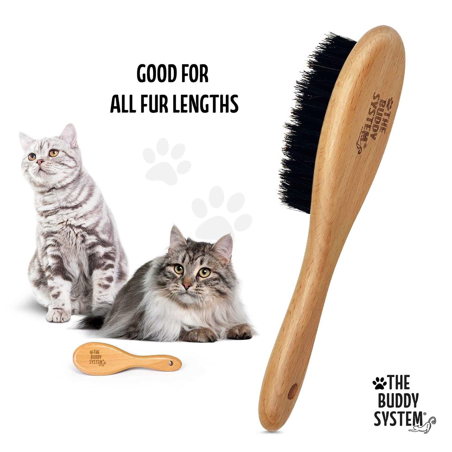 The Buddy System Cat Brush with Boar Bristle and Wooden Handle, Professional Grade Daily Grooming Hairbrush, Reduce Shedding, Soft Hair and Healthy - Healthber