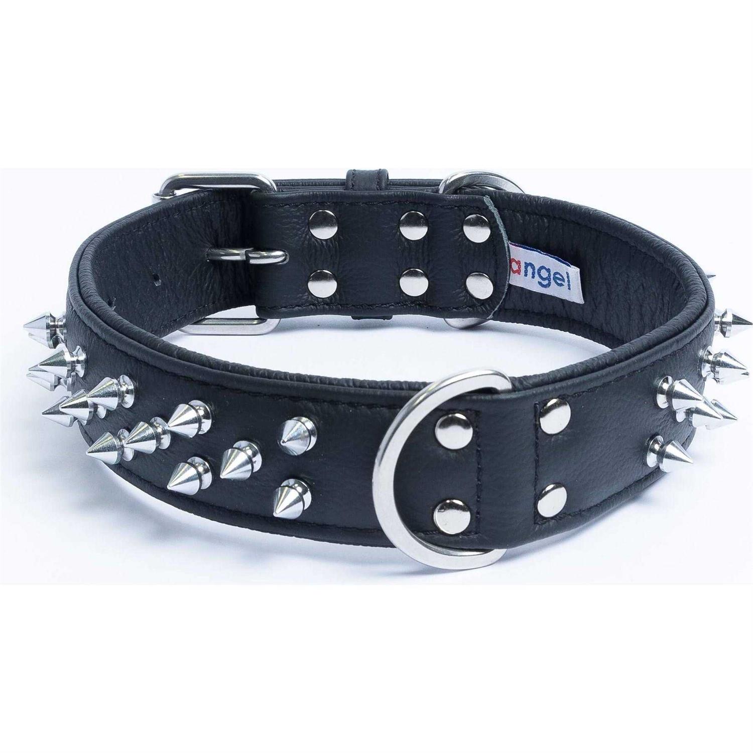 Amsterdam Dog Collar Spiked - Healthber