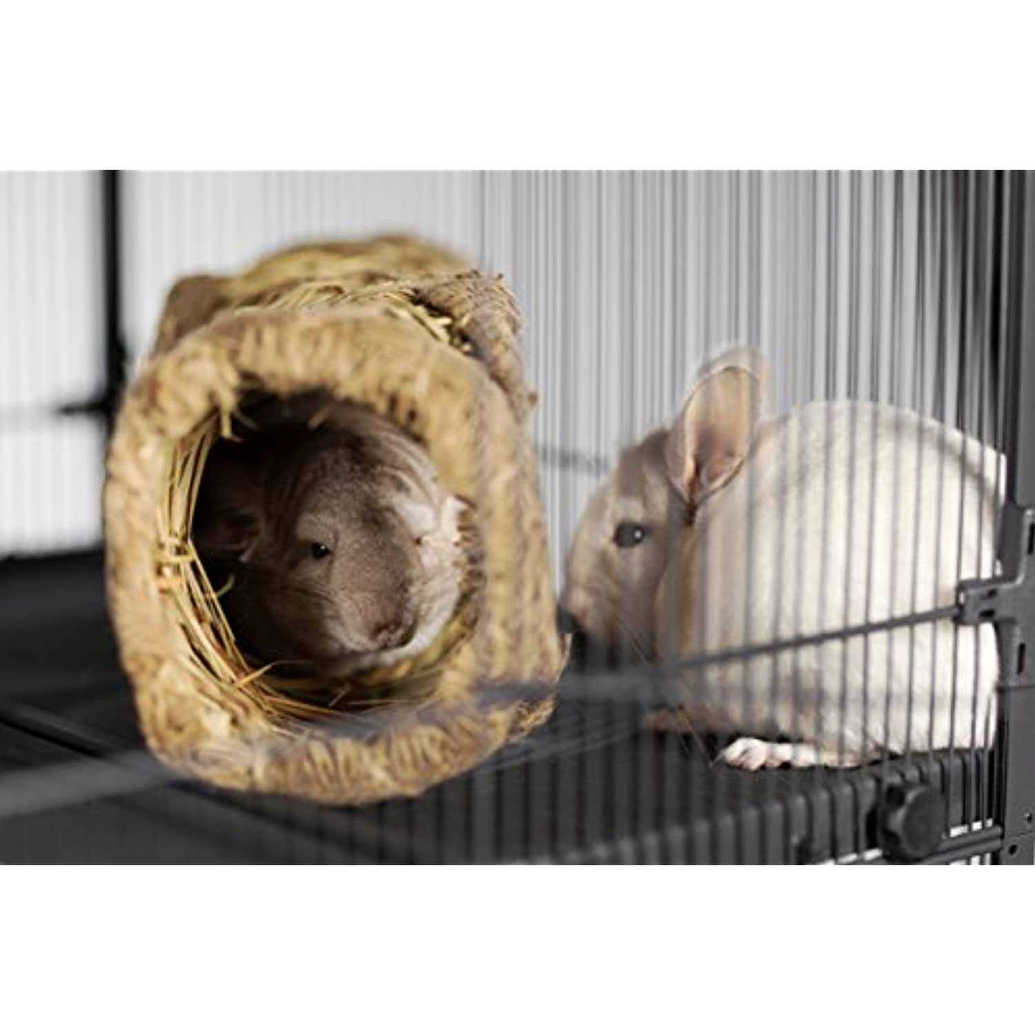 Prevue Pet Products Grass Tunnel - Healthber