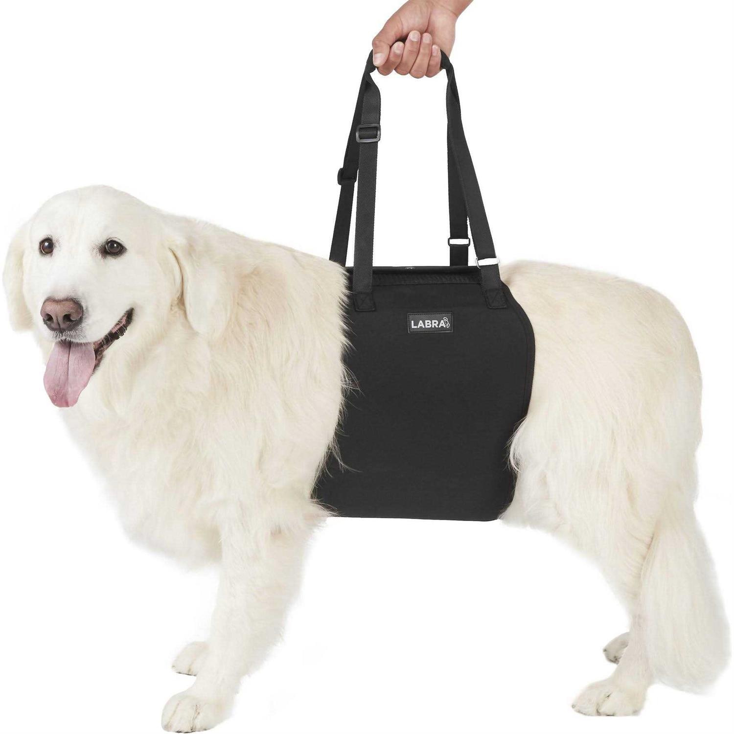 Labra Veterinarian Approved Dog Canine K9 Sling Lift Adjustable Straps Support Harness Helps with Loss of Stability Caused by Joint Injuries and - Healthber