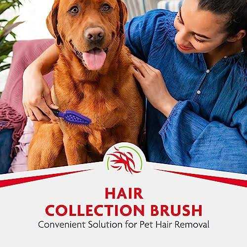 FURminator Hair Collection Brush - Healthber
