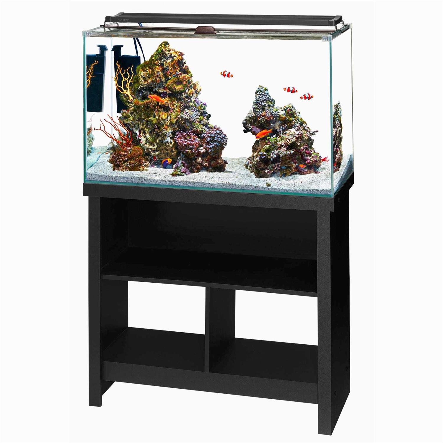 Aqueon Frameless Cube Aquarium - Healthber