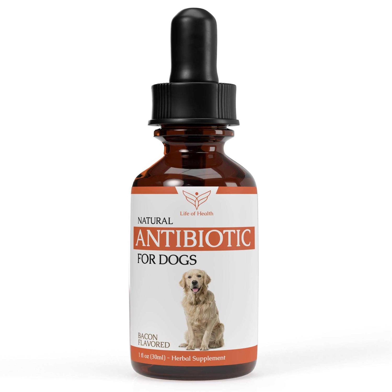 Life of Health Natural Dog Antibiotics Antibiotics for Dogs Helps Support a Healthy Immune System - Healthber