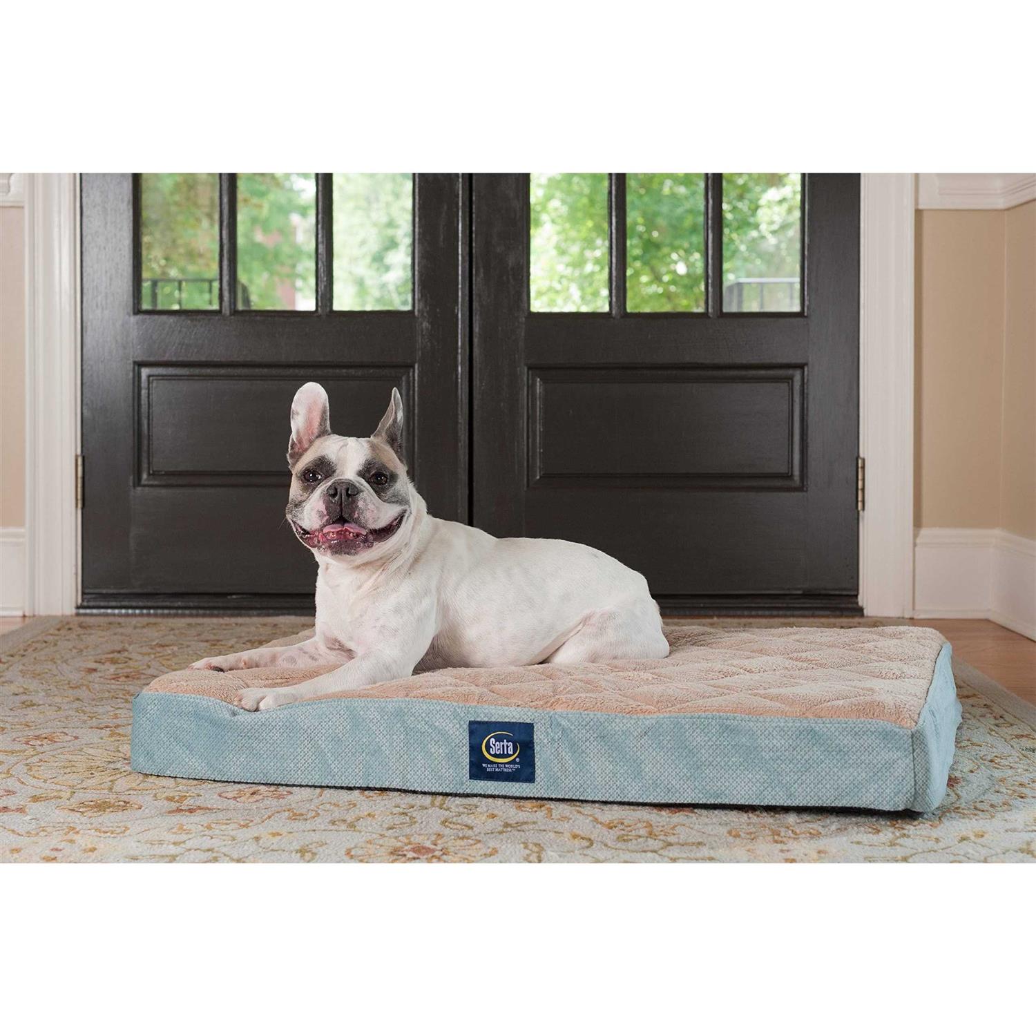 Serta Ortho Foam Quilted Pillowtop Pet Bed - Healthber