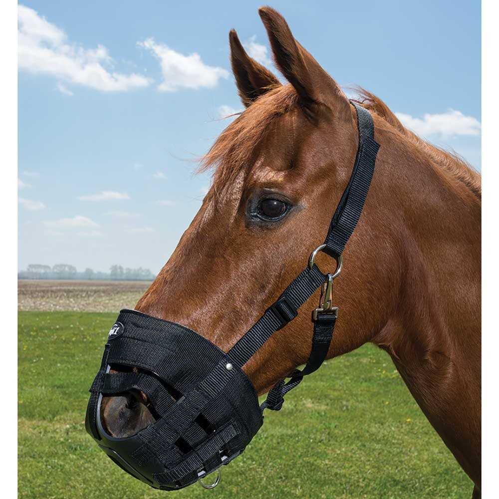 Tough 1 Easy Breathe Poly Grazing Muzzle - Healthber