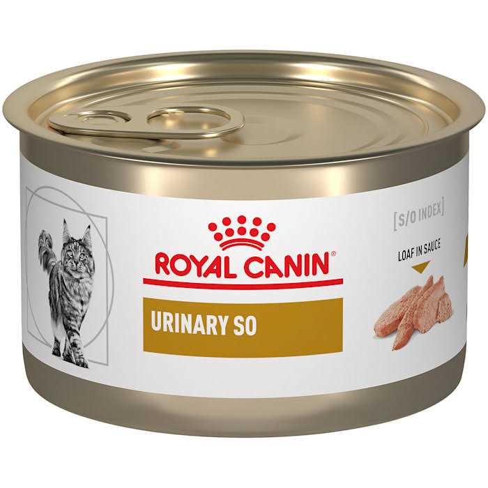 Royal Canin Urinary So in Gel Canned Wet Cat Food - Healthber