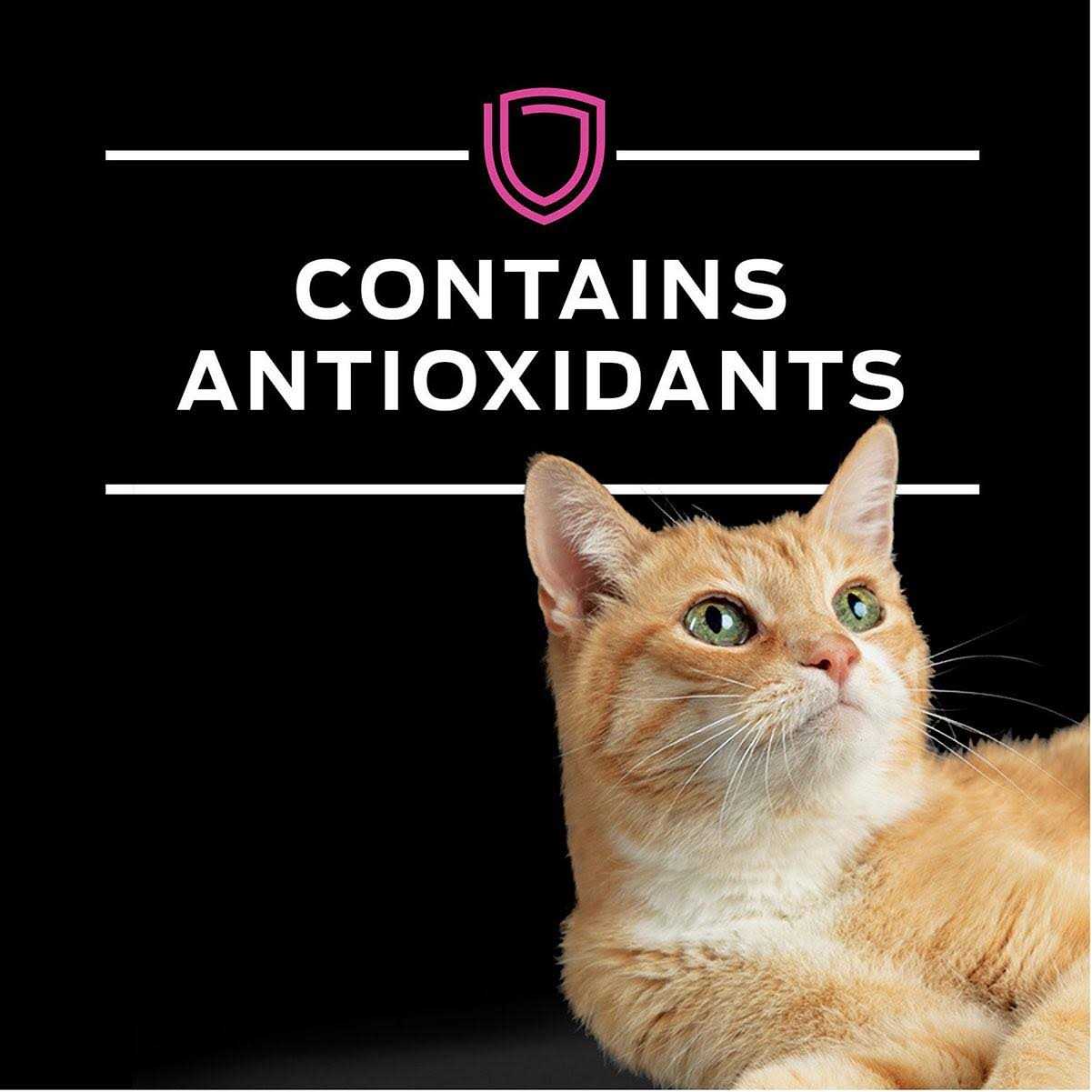 Purina Pro Plan Veterinary Diets UR Urinary St/Ox Savory Selects Feline Formula Recipe in Sauce Wet Cat Food - Healthber