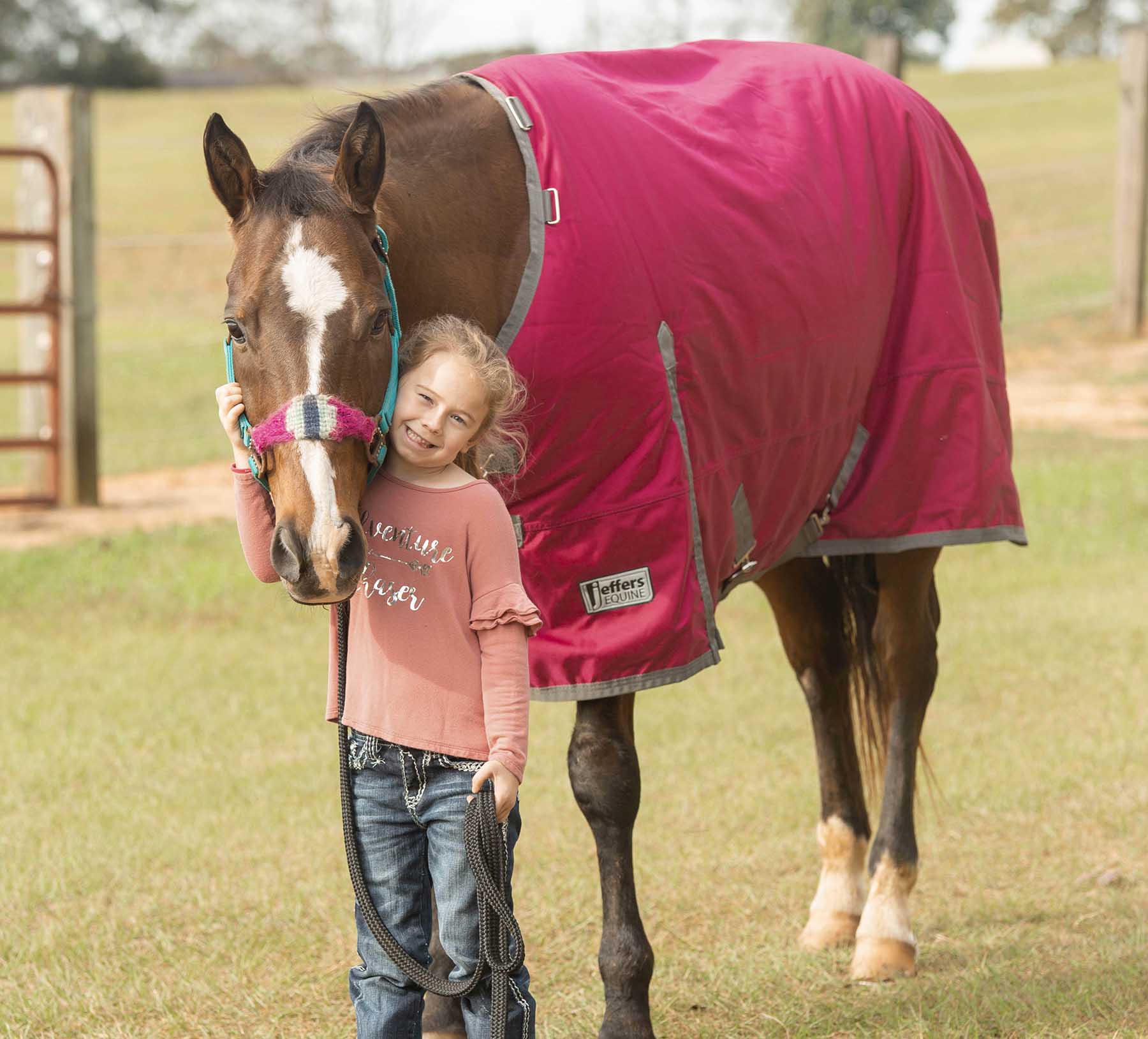 Romper Stomper Horse Turnout Sheet, 1680 Denier, Maroon/Gray - Healthber