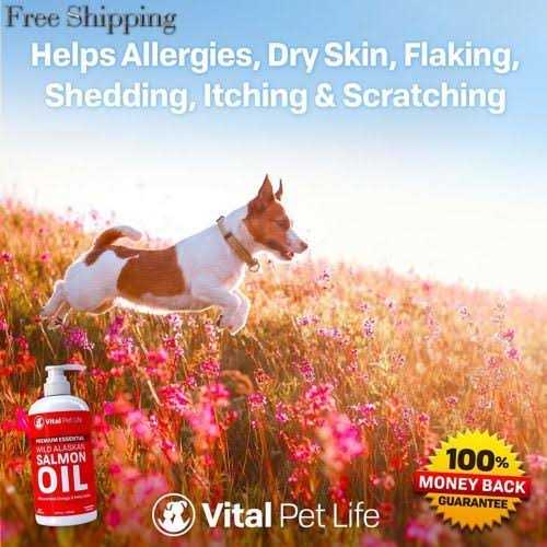 Vital Pet Life Salmon Oil for Dogs & Cats Healthy Skin & Coat Fish Oil - Healthber