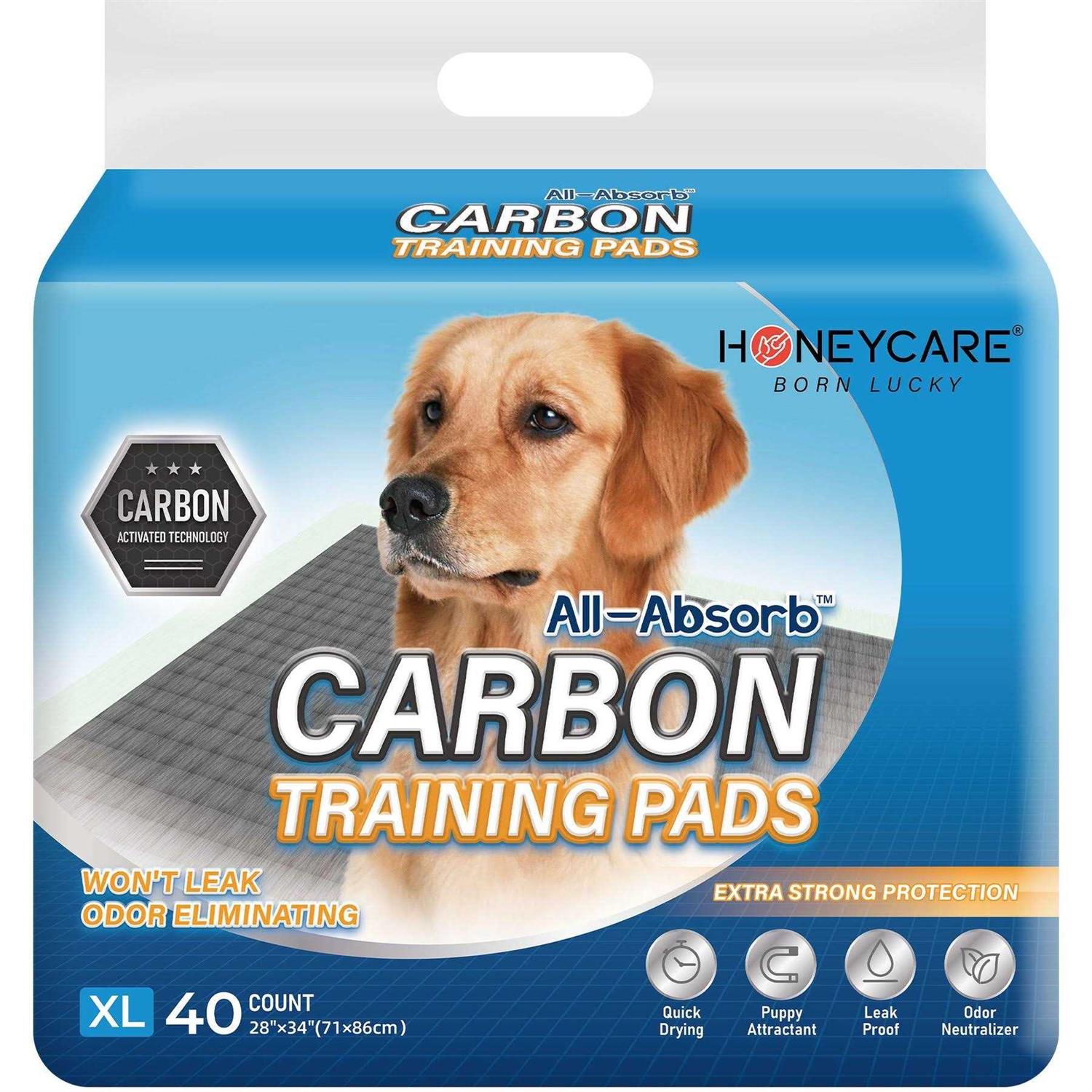 HONEY CARE All-Absorb Puppy Training Pads Potty Pads Absorb Eliminating Urine Odor - Healthber