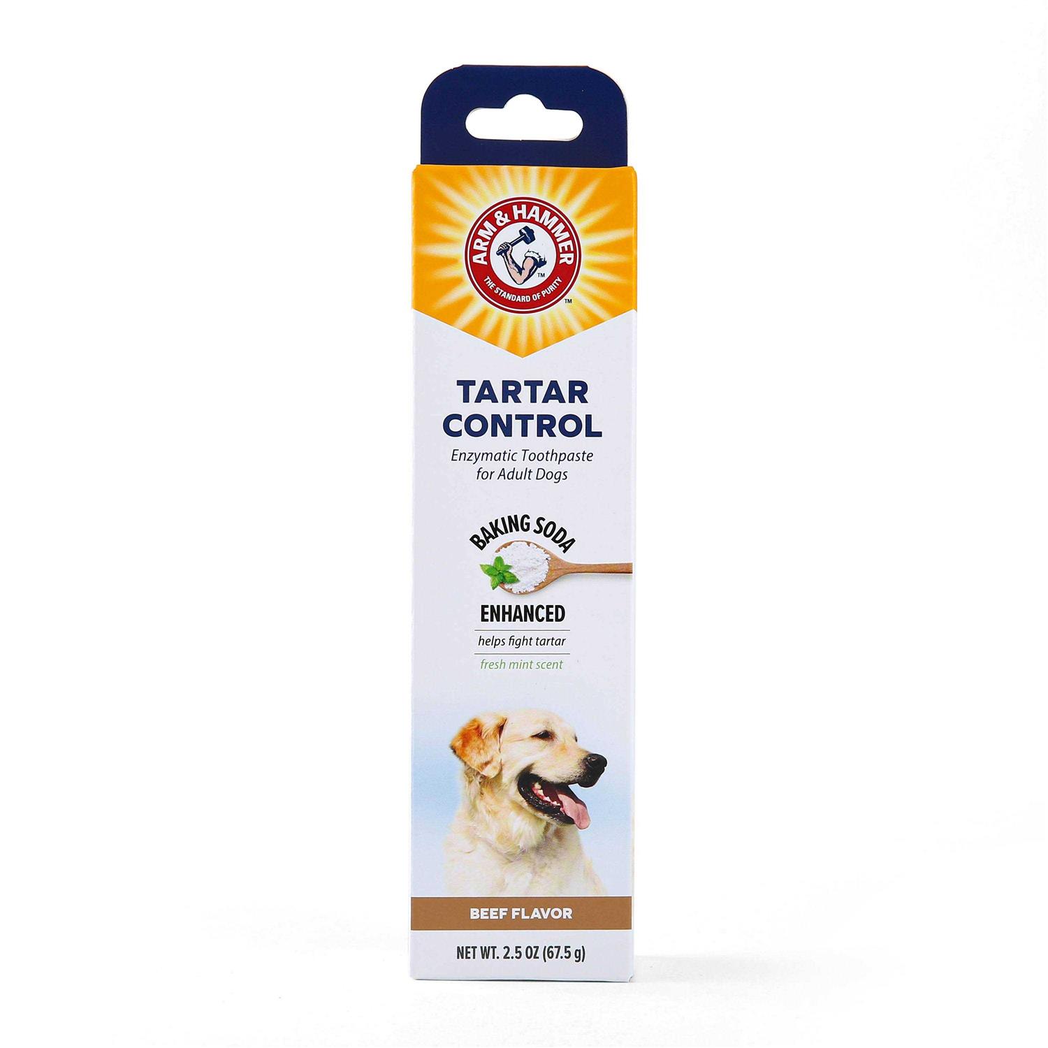 Arm & Hammer Tartar Control Enzymatic Toothpaste for Dogs - Healthber