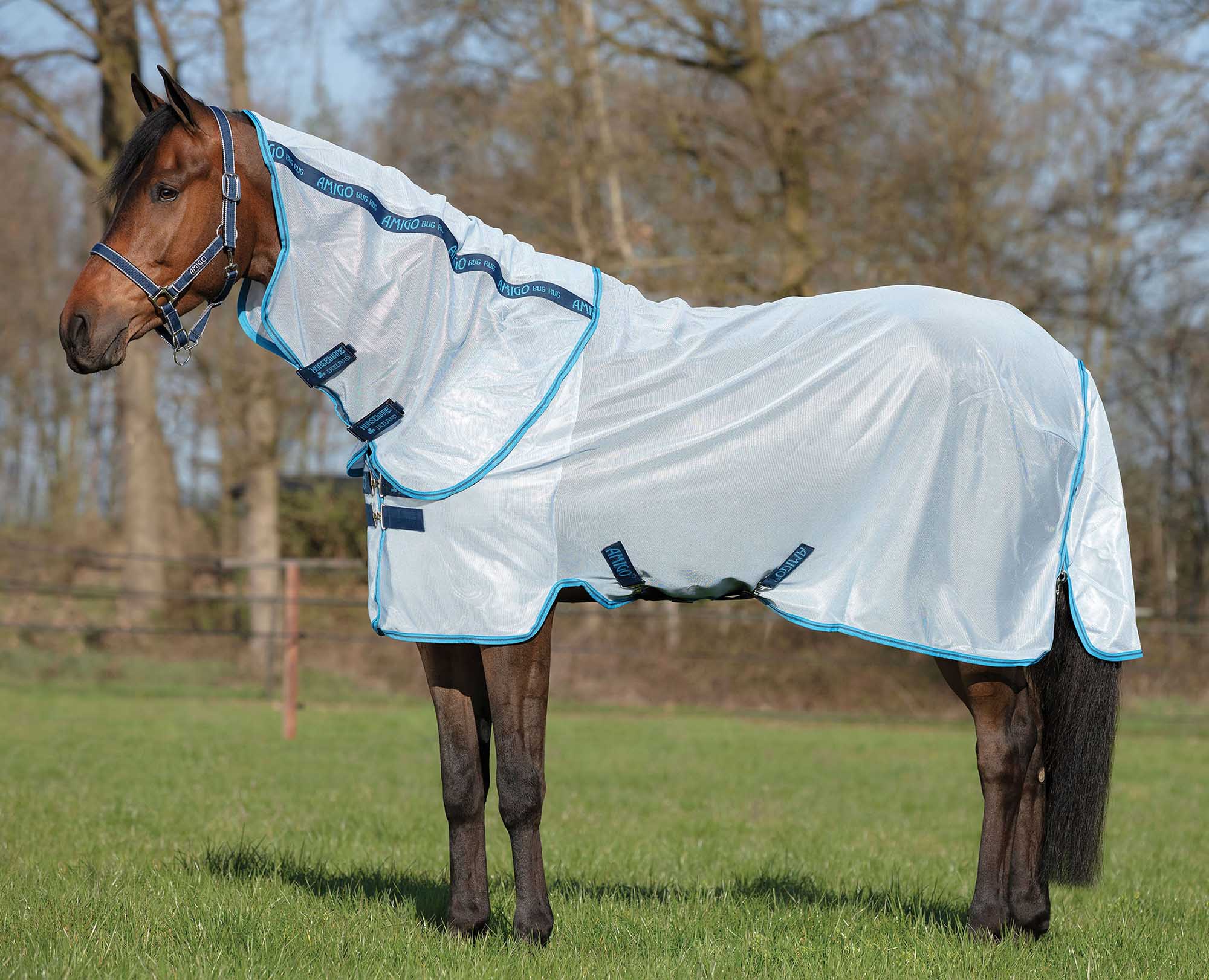 Amigo Bug Rug Horse Fly Sheet - Healthber