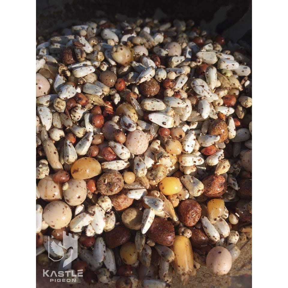Kastle Pigeon Breeder Advantage 500 g - Healthber