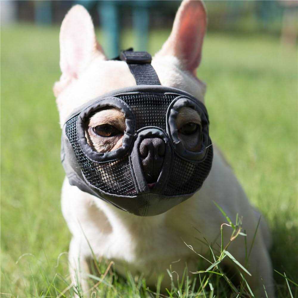 JYHY Short Snout Dog Muzzles Adjustable Breathable Mesh Bulldog Muzzle for Biting Chewing Licking Grooming Dog Mask - Healthber