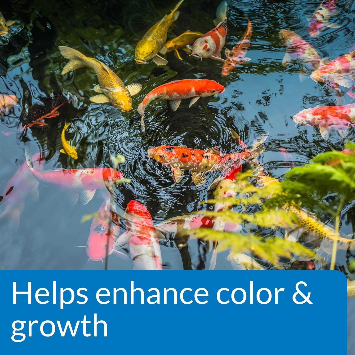 API Pond Fish Food - Healthber