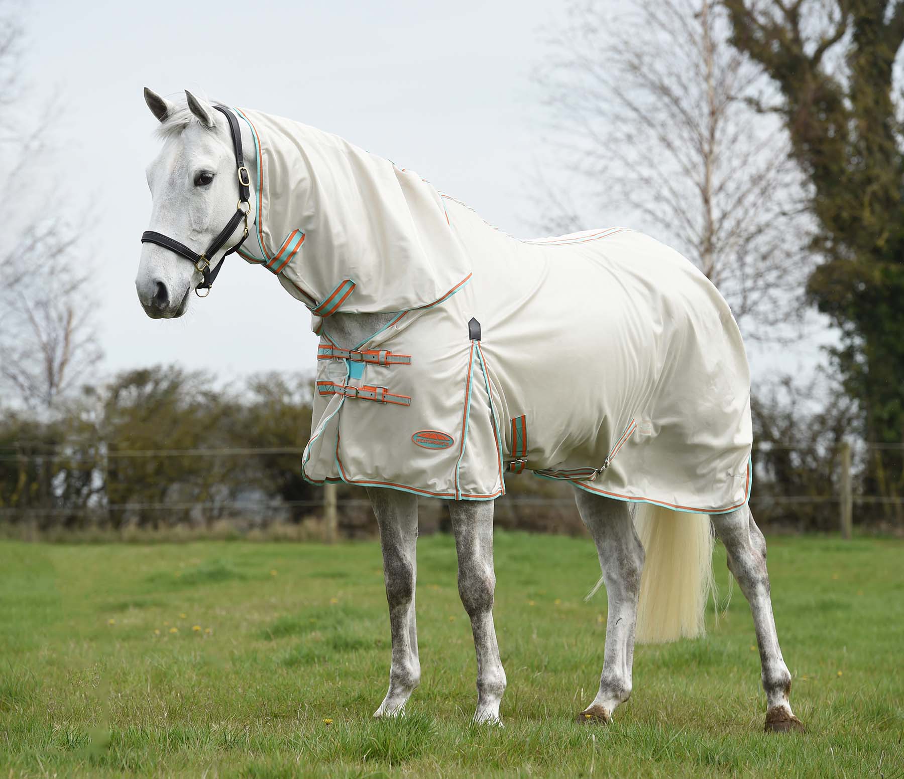 WeatherBeeta ComFITec Essential Mesh II Combo Neck Horse Fly Sheet - Healthber