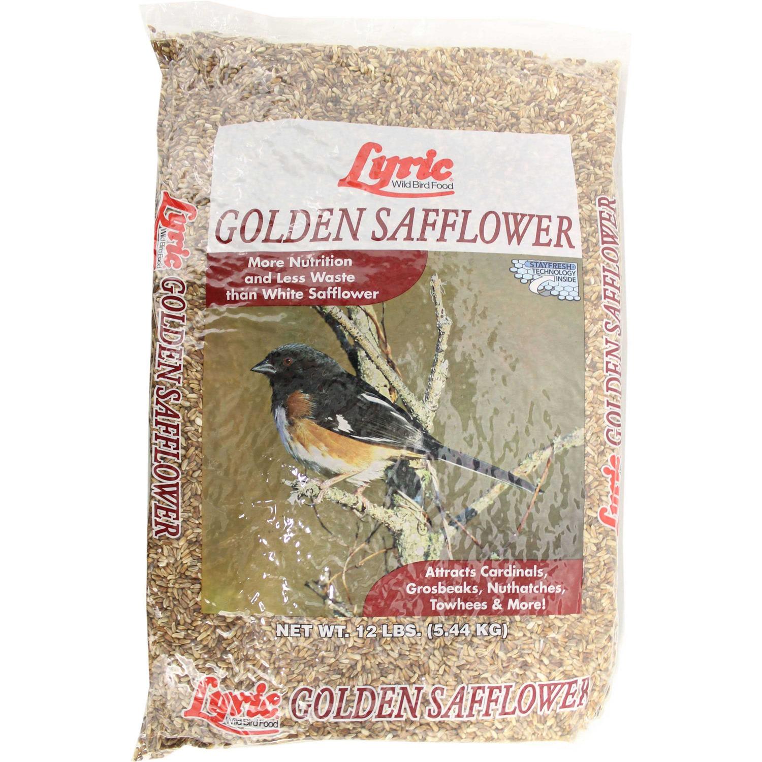 Lyric Golden Safflower Seed Wild Bird Food - Healthber