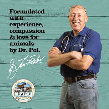 Dr. Pol Calming Treats for Dogs - Healthber