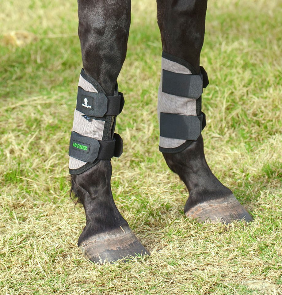 Classic Equine MagNTX Magnetic Horse Therapy Tendon Wraps, Pair - Healthber