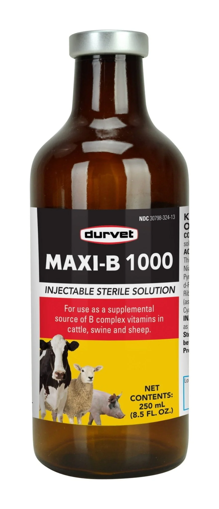 Maxi B 1000, 100 ml - Healthber