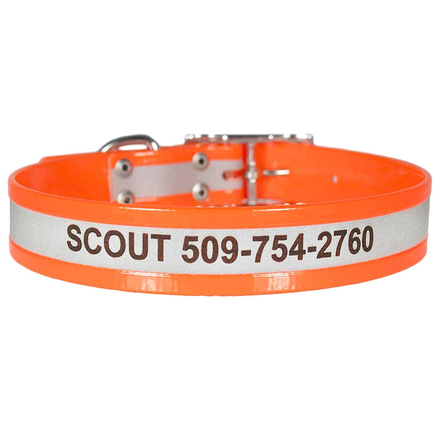 GoTags Adjustable Nameplate Personalized Dog Collar - Healthber