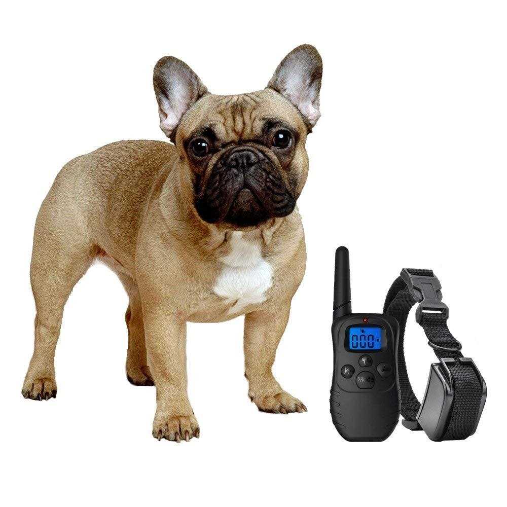 eXuby Shock Collar for Small Dogs with Remote - Healthber