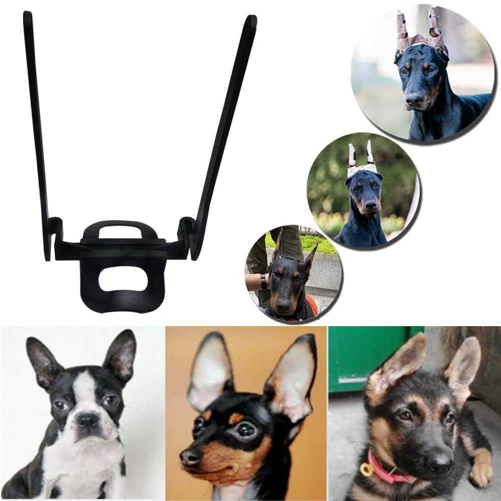 Dandelion Dog Ear Posting Kit Dog Ear Stand Up Support - Healthber