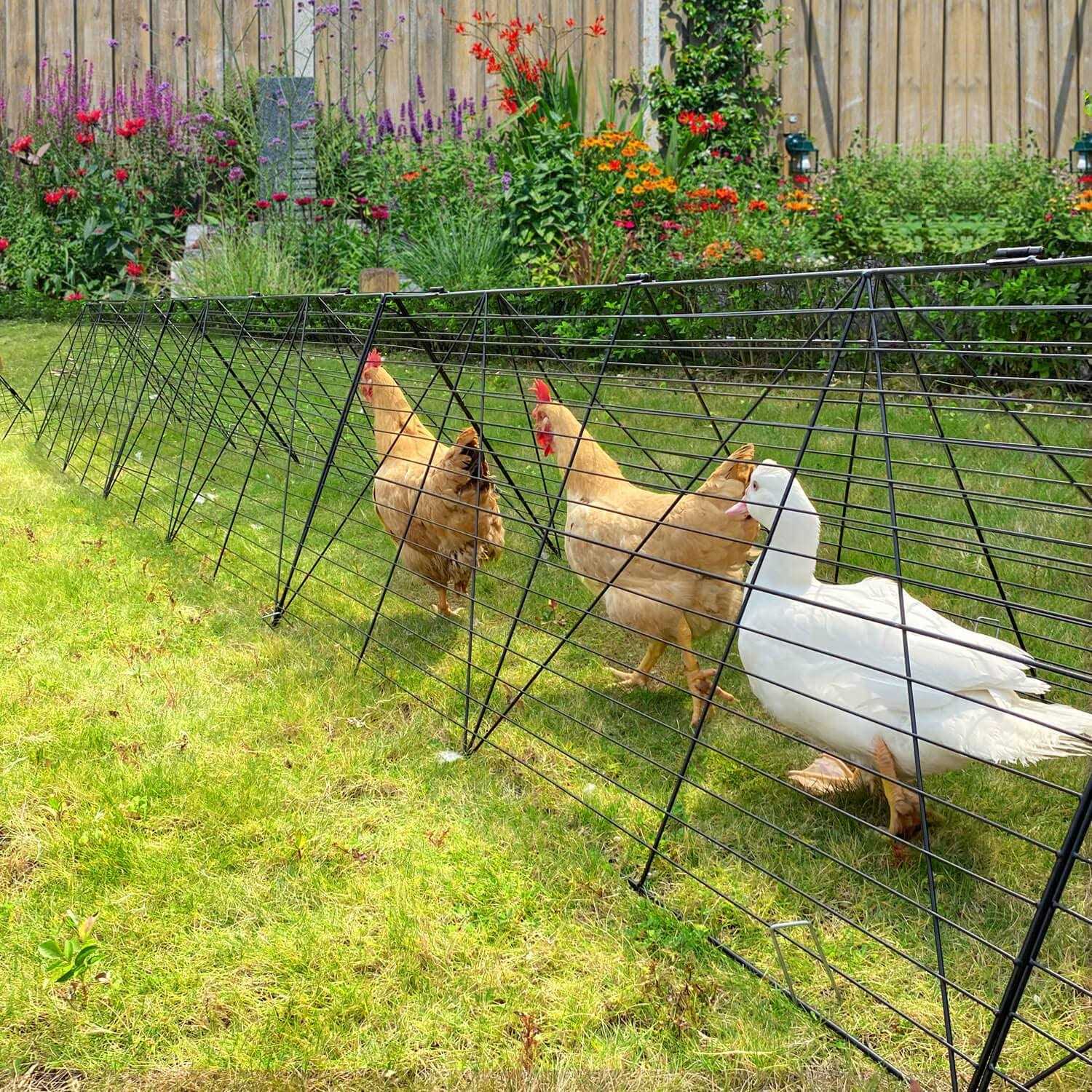 Chicken Tunnels for Yard Chicken Tunnels for Outside Chicken Run Coop Tunnel - Healthber