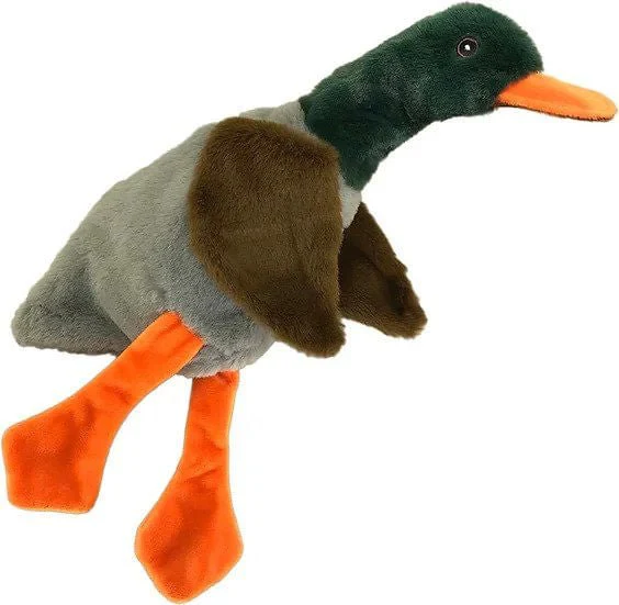 No Stuffies by Petsport - Healthber
