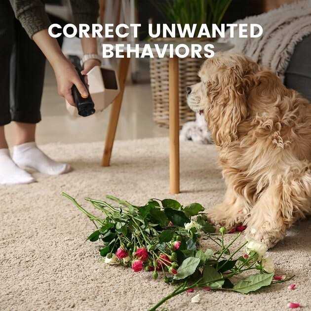 DogCare ED11 Ultrasonic Dog Bark Deterrent - Healthber