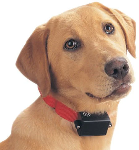 PetSafe Batteries (RFA-67D), 2 pack - Healthber