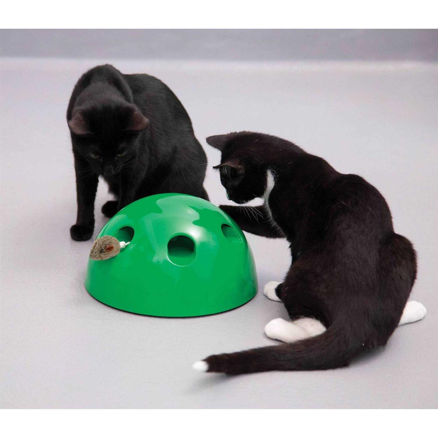 Pop N Play Cat Toy - Healthber