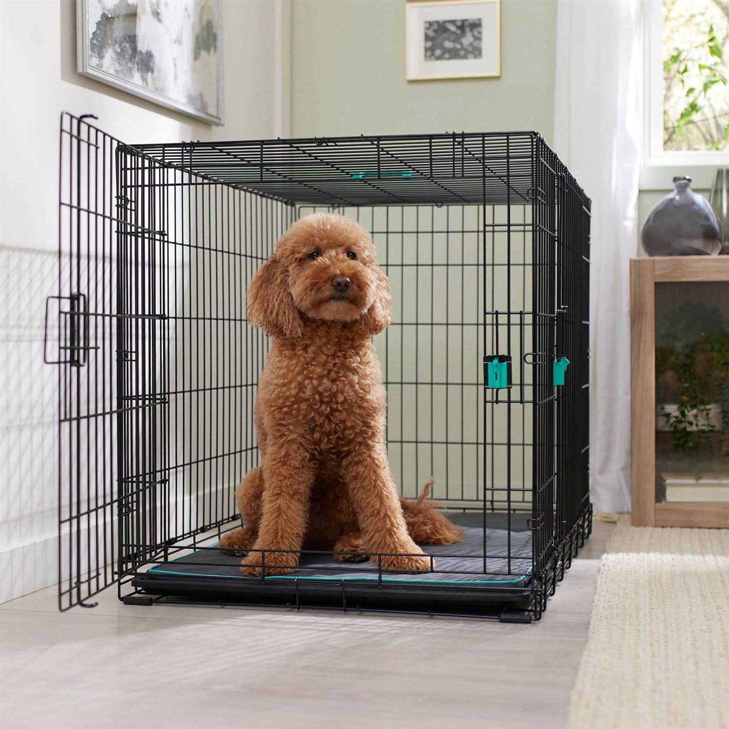 Frisco Enhanced Lock Double Door Fold Carry Wire Dog Crate Mat Kit - Healthber