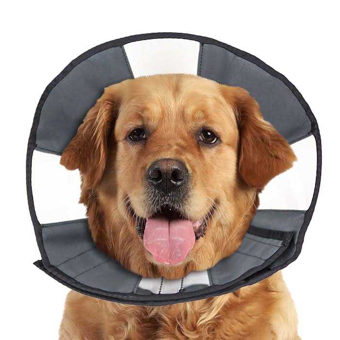 ZenPet Zen Cone Soft Recovery Collar - Healthber