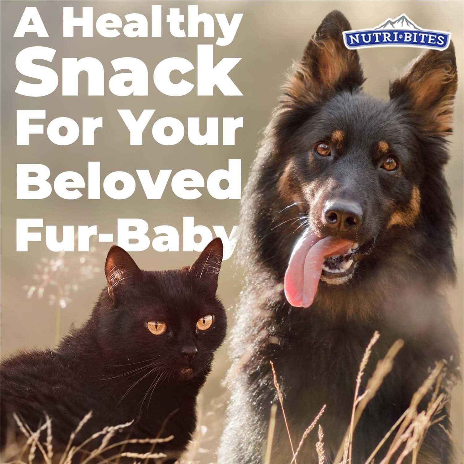 NutriBites Freeze Dried Beef Liver High Protein Dog & Cat Treats - Healthber