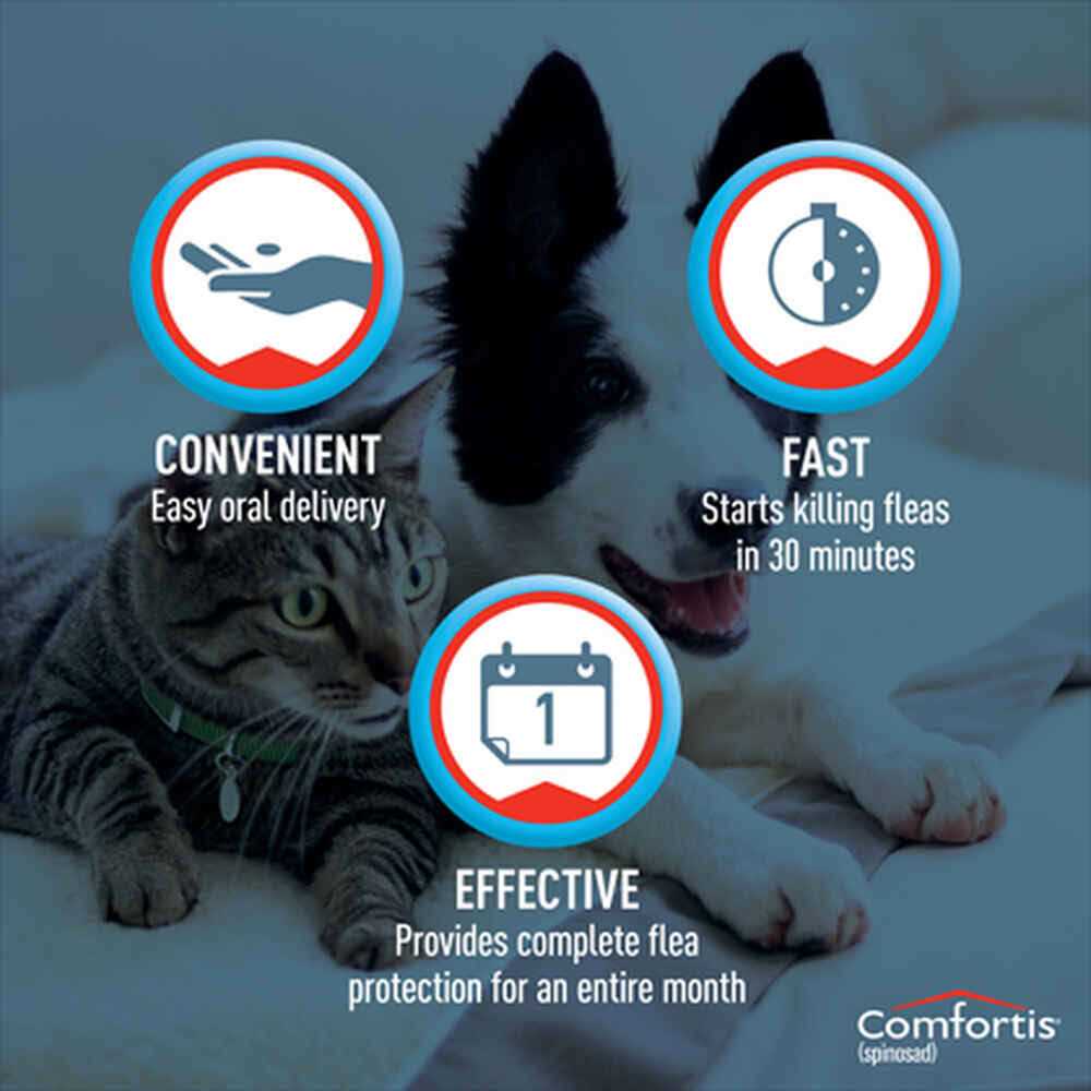 Comfortis Chewable Tablets for Dogs & Cats - Healthber