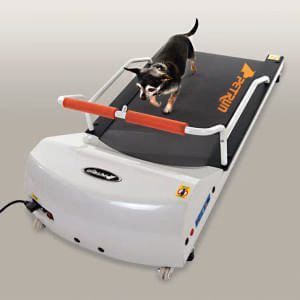 PetRun Toy Breed Treadmill (PR700) - Healthber
