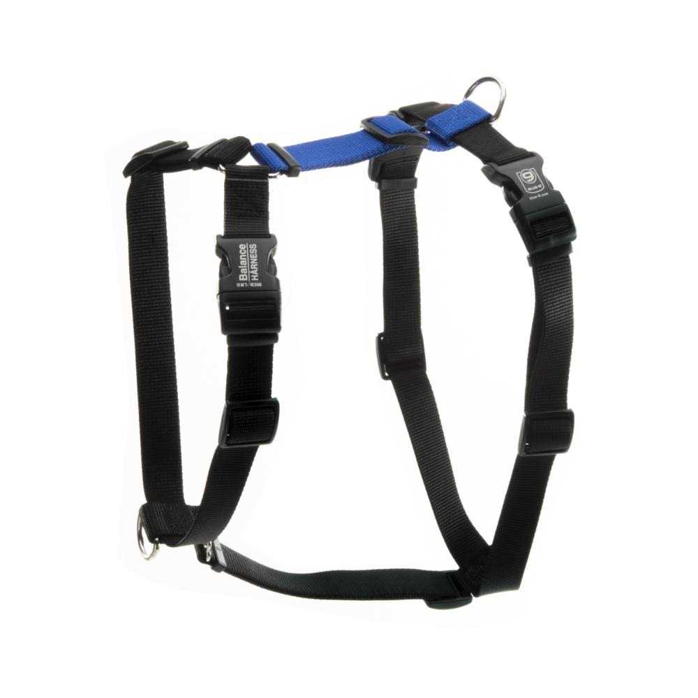 Blue-9 Buckle-Neck Balance Harness Fully Customizable Fit No-Pull Harness Ideal for Dog Training and Obedience - Healthber