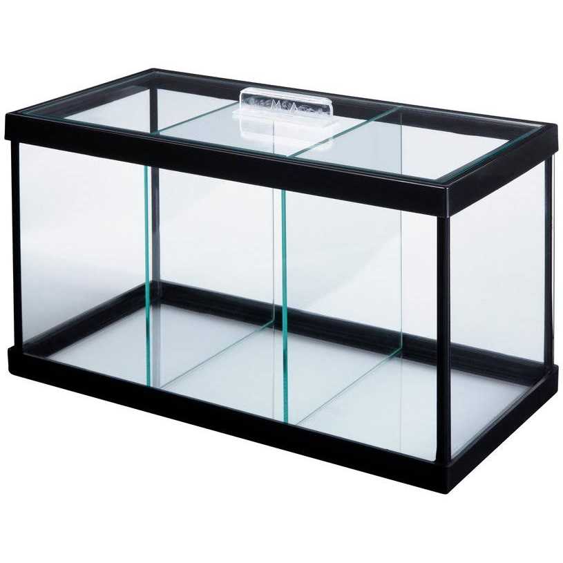 Frisco 3 Betta Aquarium with Divider/Top - Healthber