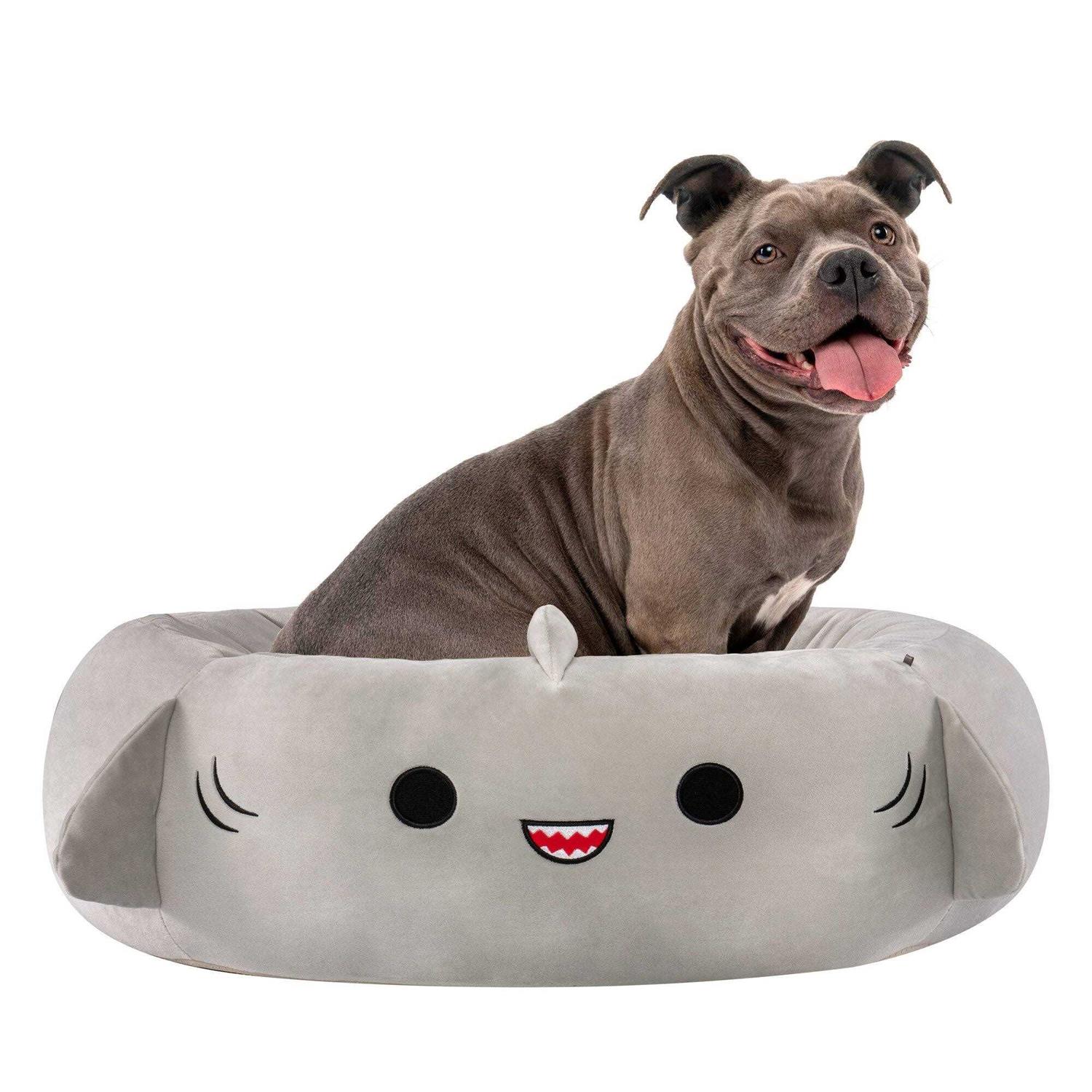 Squishmallows Gordon The Shark Pet Bed - Healthber